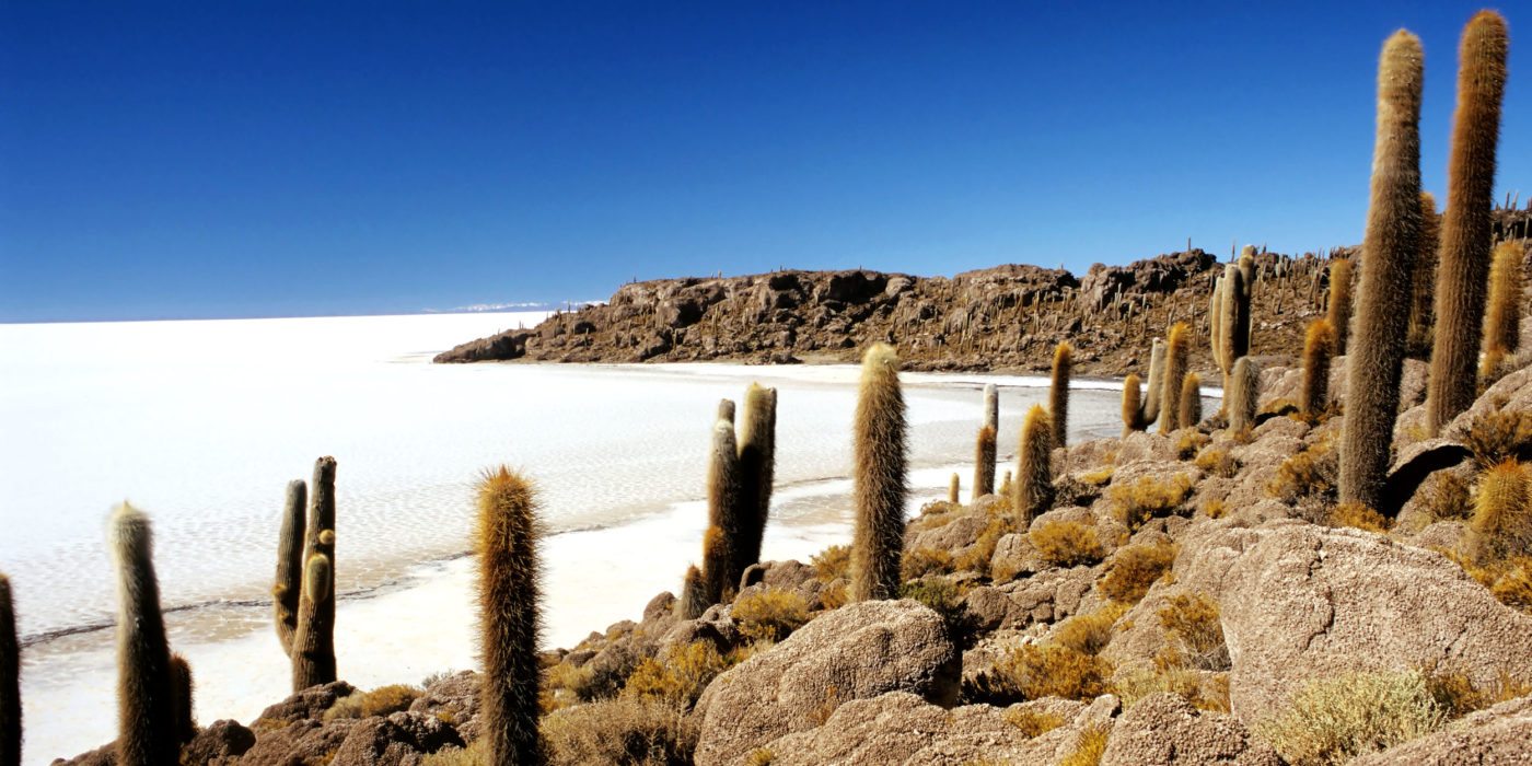Isla-De-Pescado-Bolivia