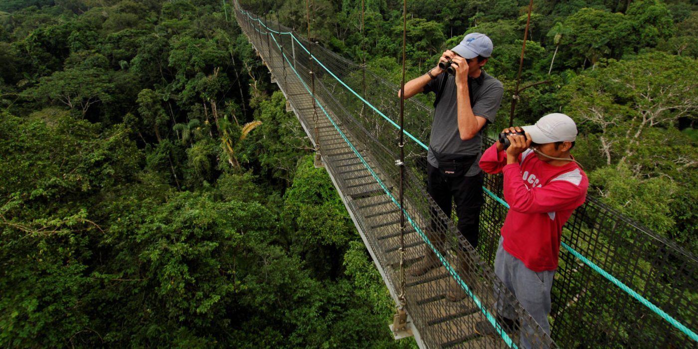 Amazon-Wildlife-viewing-Ecuador