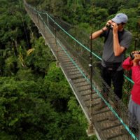 Amazon-Wildlife-viewing-Ecuador