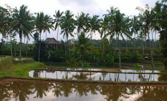 bali-village-indonesia
