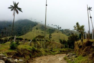 Cocora-Valley-Colombia