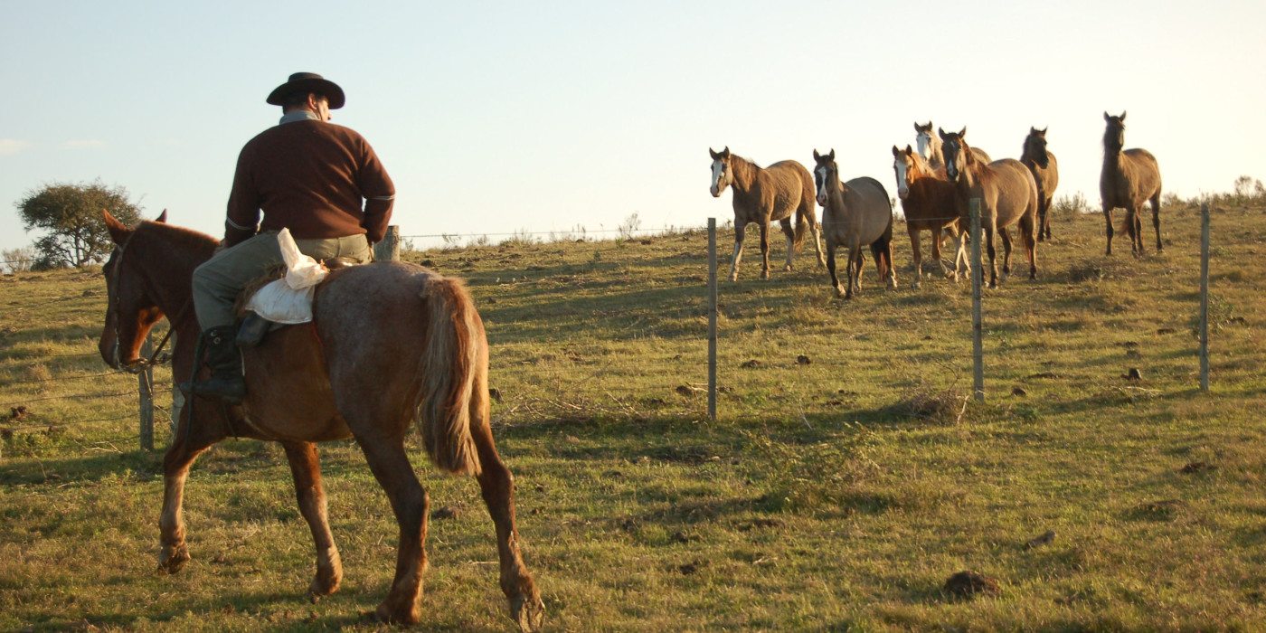 Cowboy-Finca-Piedra-Uruguay