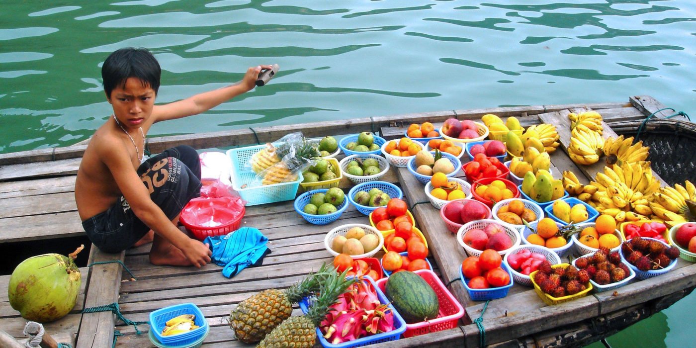 Hanoi_Vietnam_Fruit_Vendor - Copy