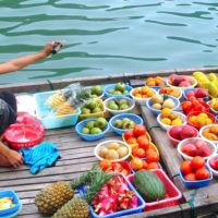 Hanoi_Vietnam_Fruit_Vendor - Copy