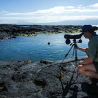 isabela-ii-nature-photography-galapagos