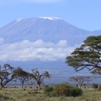 Kenya_Amboseli_kilimanjaro_Snow