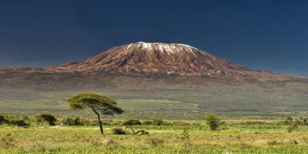 Kenya_Kilimanjaro