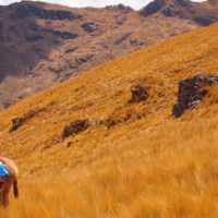 Lares-Trek-Peru