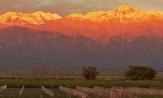 Mendoza_Mountains_and_Vineyard_Lares_de_Chacras