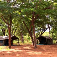 Morula-Camp-Chobe-Botswana