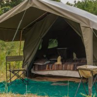 Morula-Tent-Botswana