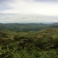 Nicaragua_coffee_plantation