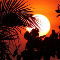 Phu-Quoc-Vietnam-tropical-sunset