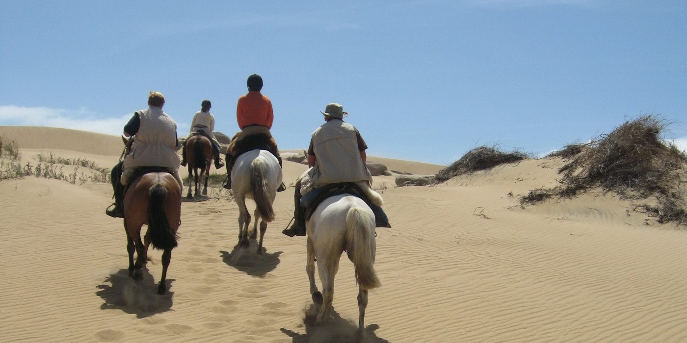 Sand-Dunes-Horseback-Riding
