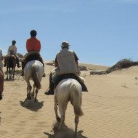 Sand-Dunes-Horseback-Riding