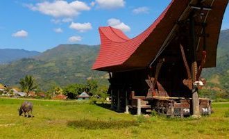 Sulawesi-Tongkonan-House-Indonesia