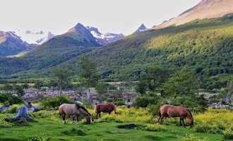 Torres_del_Paine_Patagonia_Wild_Horses