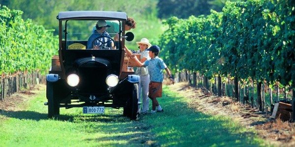Uruguay_winery