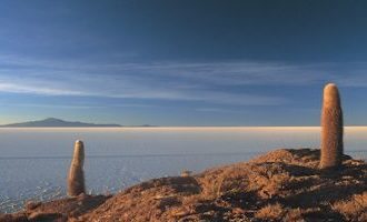 Uyuni-Fish-Island-Bolivia