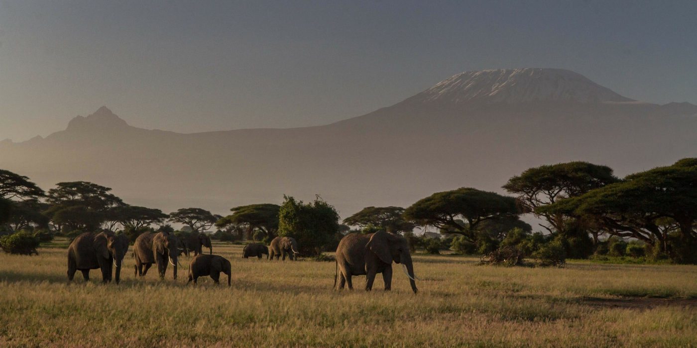 africa-kenya-safari
