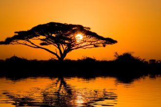 amboseli-sunset-kenya