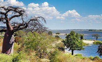chobe-river-botswana