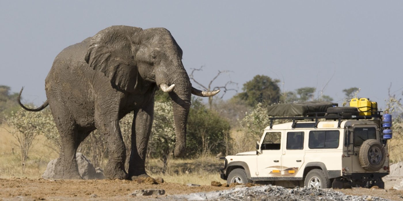 elephant-jeep-south-africa