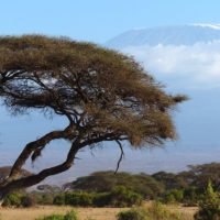 kilimanjaro-amboseli-kenya