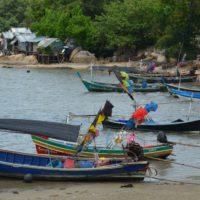 koh-tao-boats-thailand