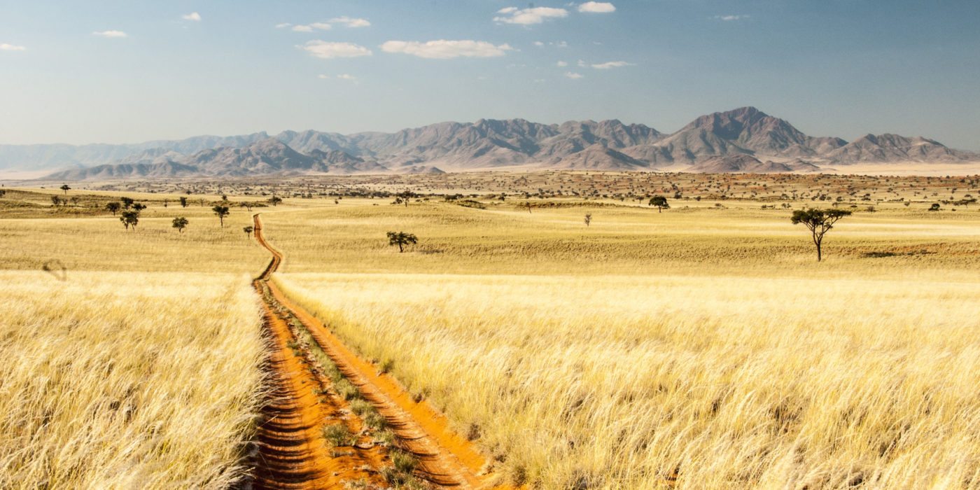 namibia-golden-road