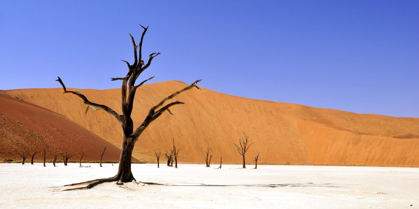 namibia-white-gold-dune