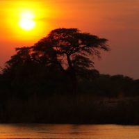 okavango-delta-sunsetbotswana