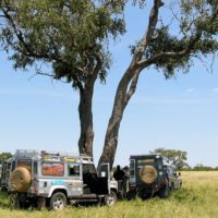 okavango-land-rovers-botswana