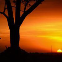 serengeti-sunset-tanzania
