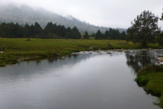 stream-bhutan-countryside