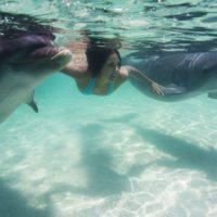 swimming-dolphins-honduras