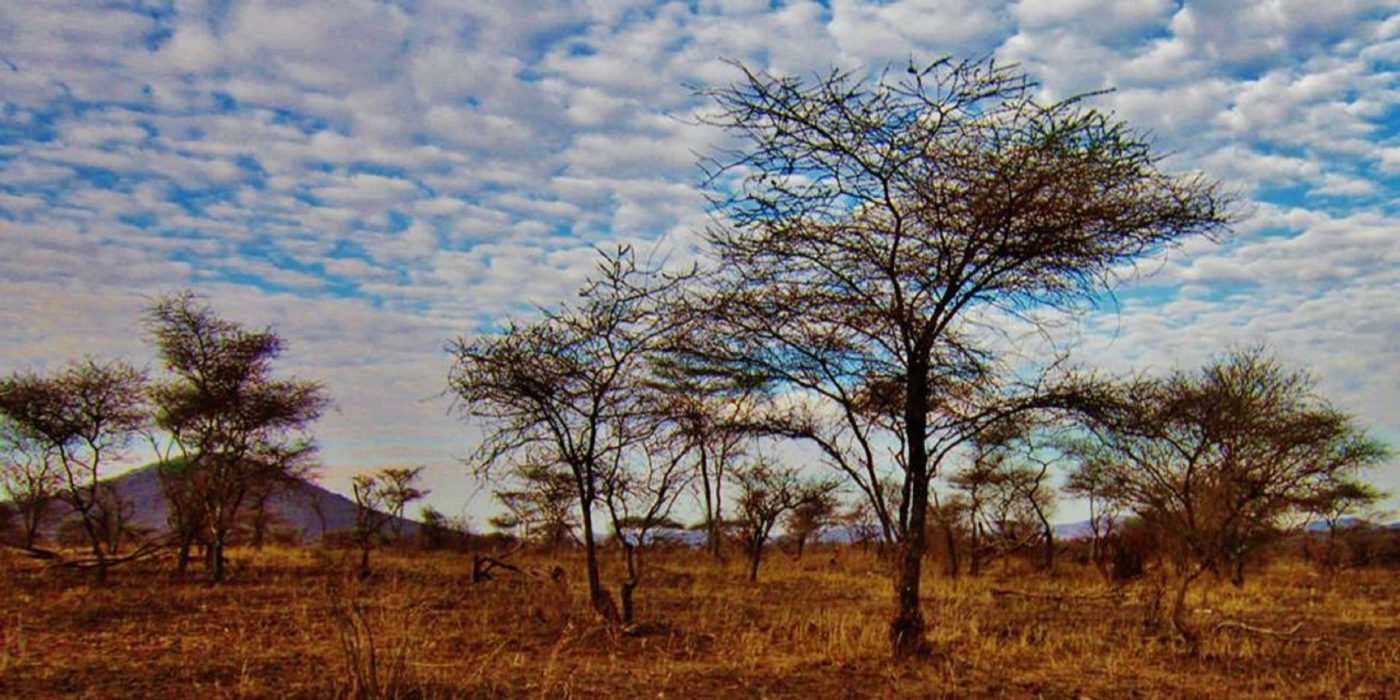 tanzania-landscape-serengeti-np
