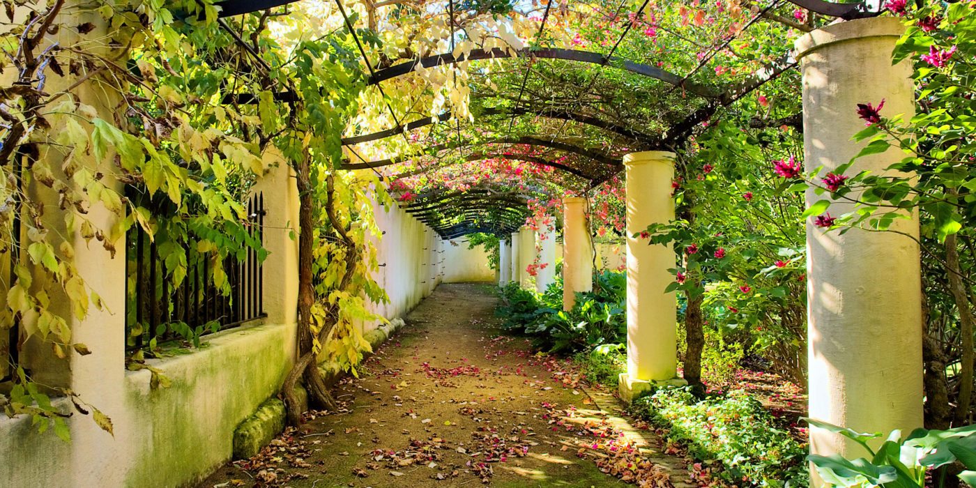 vineyard-arch-south-africa