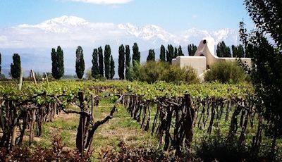 Mendoza-Cavas-Wine-Lodge
