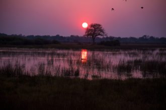 chobe-sunset-botswana