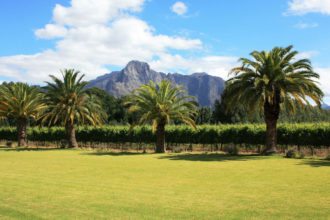 franschhoek-south-africa-vineyards