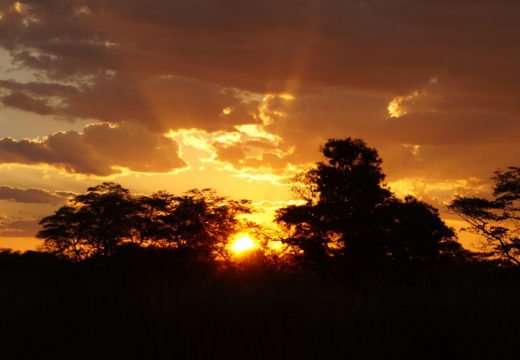 okavango-delta-cloudy-sunset-botswana