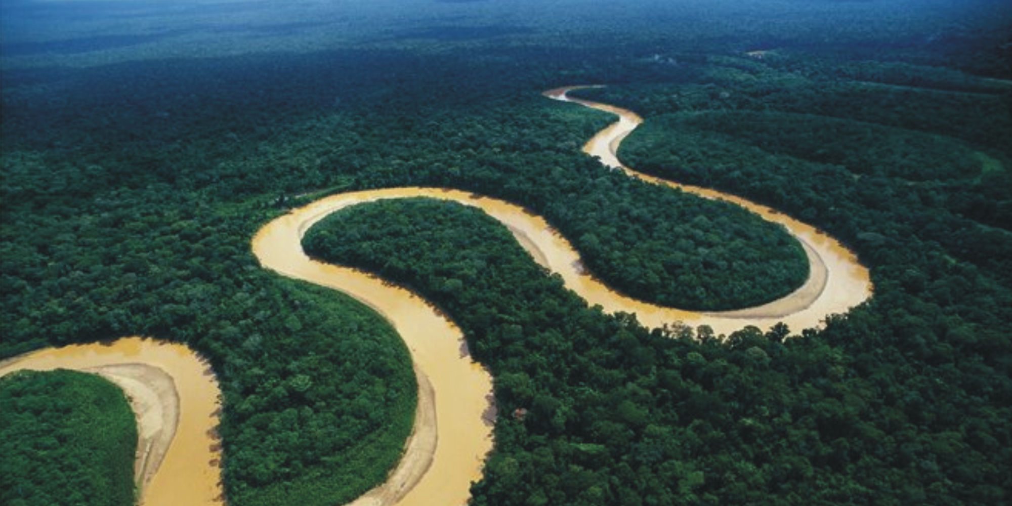 amazon rainforest tours from rio