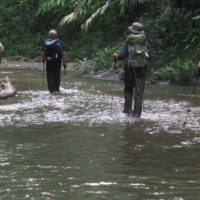 Rainforest-Trek-Panama