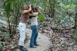 Rainforest-wildlife-spotting-Panama