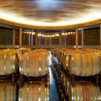 Matetic-Vineyard-wine-barrels-chile