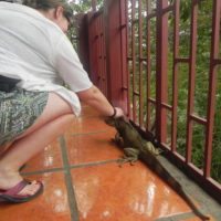 Me-petting-iguana