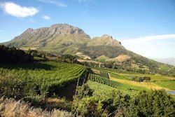 South-Africa-Winelands