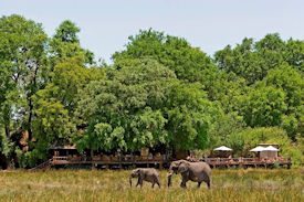 botswana-elephants-PR