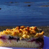 cake-frutillar-chile-lake-villa-lobos